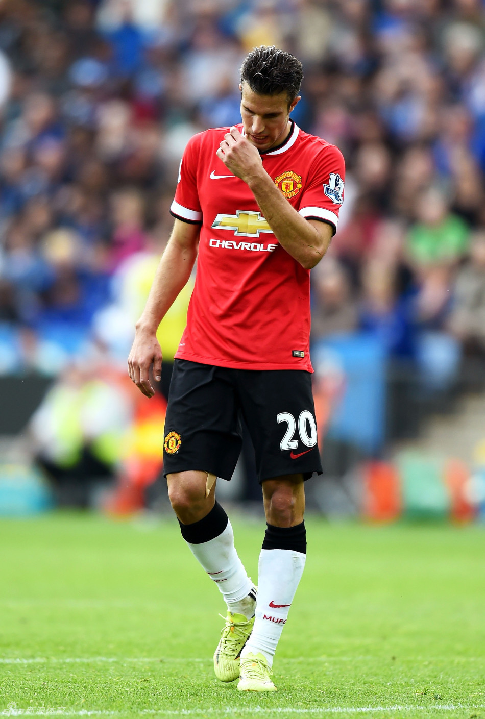 马雷斯卡：埃斯特旺肌肉小伤将缺战纽卡，感激球迷现场支持我（马雷斯卡：埃斯特旺肌肉轻伤将缺席对纽卡之战，感谢球迷到场支持）