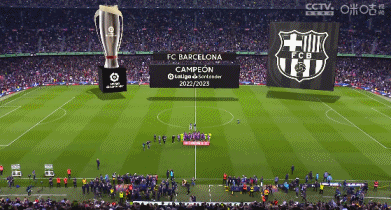 土媒：费内巴切锋线引援瞄准世界级球员，目标莱万或瑟洛特（土耳其媒体：费内巴切锋线补强锁定世界级前锋，候选莱万与瑟洛特）